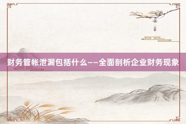 财务管帐泄漏包括什么——全面剖析企业财务现象