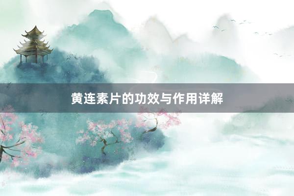 黄连素片的功效与作用详解